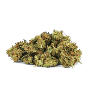 Wholesaler Mini Bud CBD