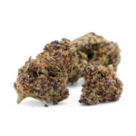 Purple Haze 10-OH-HHC